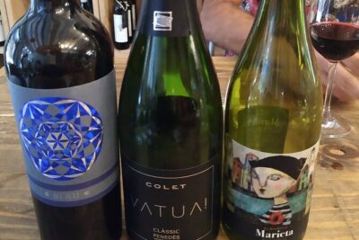Wine Tasting Experience in Barcelona - What Happens Once You’re Seated (Catalonia Wine 101)