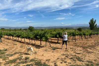 Wine Tasting in Three Boutique Wineries Tour - Max 8 people - Stop 2 at Felix Massana Rafols: Carved-By-Hands Cellars