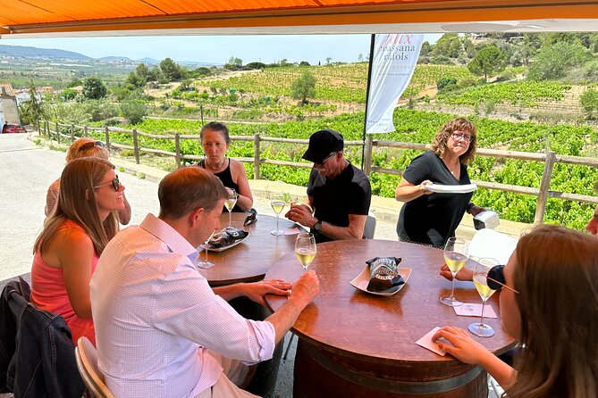 Wine Tasting in Three Boutique Wineries Tour - Max 8 people - Why the Small Group Size Makes This Tour Feel Personal