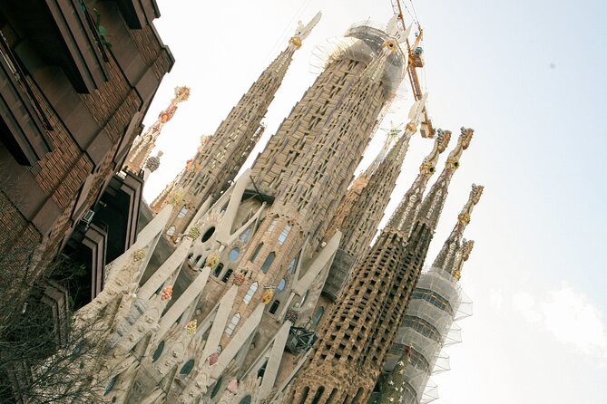 Wine tasting with a view of the Sagrada Familia - Sagrada Familia Views: What You’ll Actually Notice