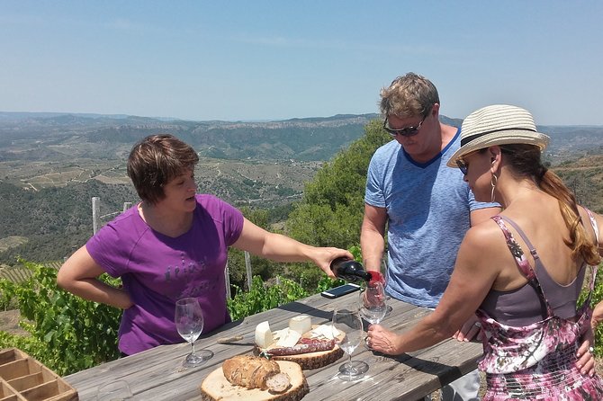 WINE TOUR PRIORAT: Visit 2 Top Wineries, Wine Tasting & Gourmet Lunch - Key highlights in plain terms