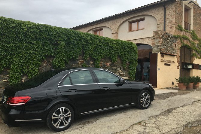 WINE TOUR PRIORAT: Visit 2 Top Wineries, Wine Tasting & Gourmet Lunch - What you’ll likely learn as you taste (and how to use it)